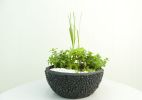 Passo a passo: plante uma horta de chás em vaso - Kátia Kuwabara